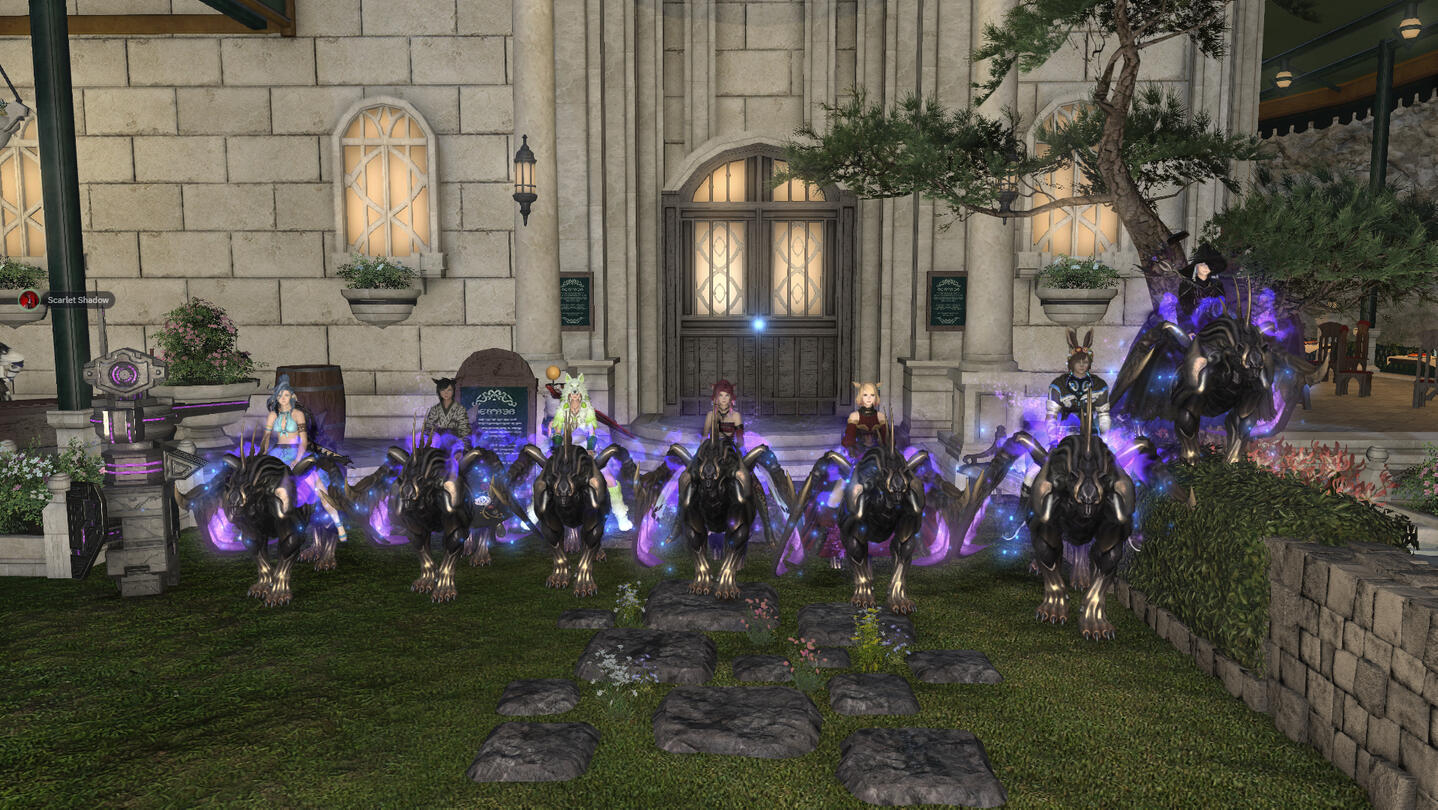 Gwiber Jagd 27.06.2025