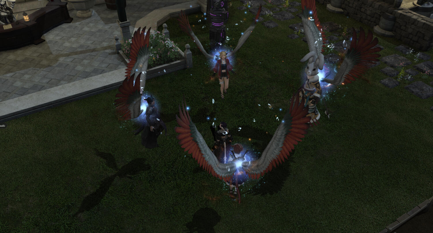 Flügelfarmen 18.05.2025